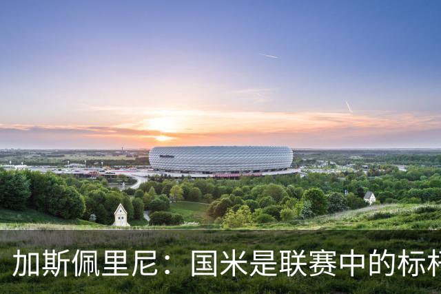 加斯佩里尼：国米是联赛中的标杆球队 明天我们全员均可出战